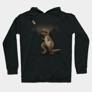 Funny Cute T-Rex Dinosaur Taking Selfie Funny Gift For Dinosaur Lovers Hoodie